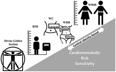 Editorial: Waist-to-height ratio is a simple tool for assessing central obesity and consequent health risk